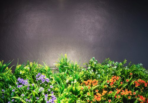 colorful-decorated-flower-garden-with-grey-copy-space-top-warm-shiny-spot-light-flower-garden-picture